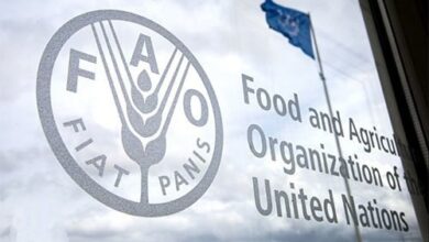 IMG ٢٠٢٢١٠١٨ ١٤٤٩٢٩