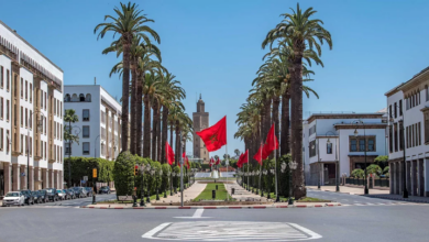 IMG ٢٠٢٢١٠١٩ ٠٧٣٣٢٥