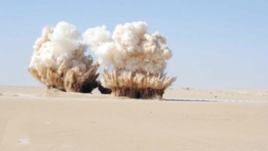 IMG ٢٠٢٢١٠١٩ ١٠١٣٣٥