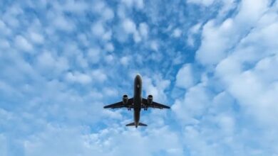 IMG ٢٠٢٢١٠٢٢ ٠٨٤٨١٦