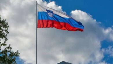 IMG ٢٠٢٢١٠٢٤ ٠٨١٣٤٤