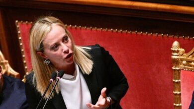 IMG ٢٠٢٢١٠٢٧ ٠٧٣٥١١