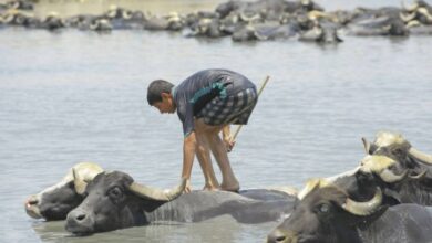 IMG ٢٠٢٢١٠٢٧ ١١٢٢٤٠