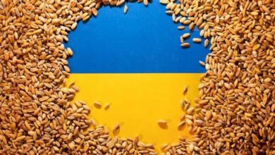 روسيا تعلق اتفاق تصدير الحبوب الأوكرانية 7 IMG ٢٠٢٢١٠٣٠ ٠٧٥٤٣٤