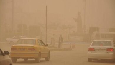 NB 180181 636101197648974263