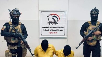 Screenshot 2022 10 03 10 49 24 53 feb32406f0732699bbba00897069dcd3