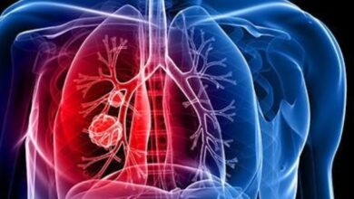 Screenshot 2022 10 12 09 01 24 31 40deb401b9ffe8e1df2f1cc5ba480b12