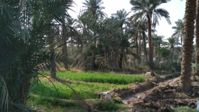 Screenshot 2022 10 24 13 51 32 33 feb32406f0732699bbba00897069dcd3