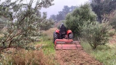 Screenshot 20221024 193650