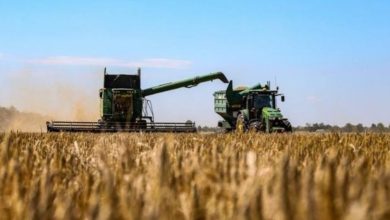 Screenshot 20221029 183442