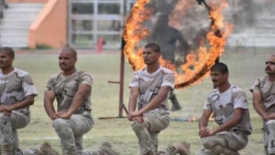 big 91c5da6b5c1aa0bb819bd38f10dfe90dcd758c2a