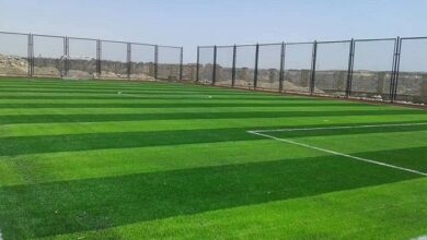 upload 1665050978 753666668