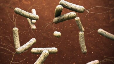 ارتفاع الوفيات والإصابات.. انتشار واسع للكوليرا و"الصحة العالمية" تحذر 5 upload 1665090523 1805600589.jpeg