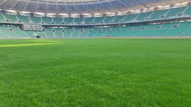 upload 1667198374 1369952727