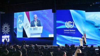 006E6CD1 85E1 4AD7 8AD2 A589A5A007FC