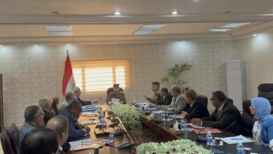 01E9D808 EF39 46BD 9193 C170B1C814FA