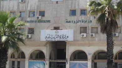 08F4828D 84F1 4102 8680 FFB266E8FA9C