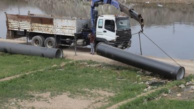 0C7CD9A5 6E9B 42E0 B4DC CBFF9F078F0F