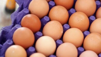 0E6FB4EF E827 4CAF A926 DC6D9D5B7402