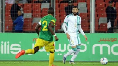 100 171534 touba algeria belmadi fans 700x400