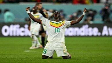124 213345 senegal netherlands ecuador world cup 2022 700x400