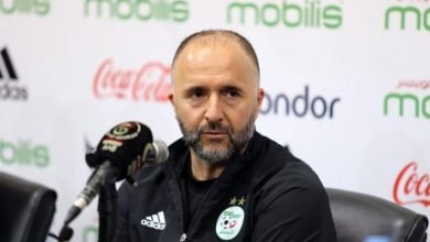 138 215154 belmadi algeria caf gassama 700x400