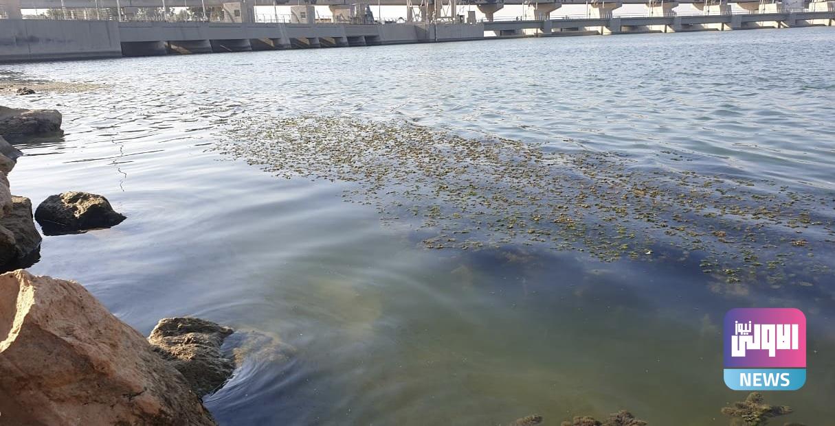 توضيح من الموارد المائية بشأن البقعة الزيتية في نهر الفرات 1 18548D07 94FB 4090 902D 6E91CA74D0B3