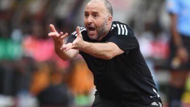 192 135713 algerian association djamel belmadi 2