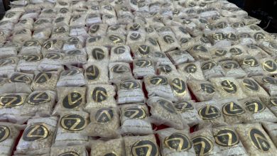 1E5F7904 238A 4961 81CA 1B327D5ECDD4