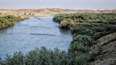 2395351E B6CF 42A9 A6C6 E521C26CBEC2