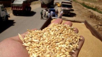 307626B3 21AE 465B 9020 6D3C09AEDAB3