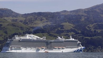 4F137B21 F0D4 4BC8 90EA A2B281CA9911