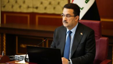 502617AE 6F77 429C 8DCF F2437956B7DC