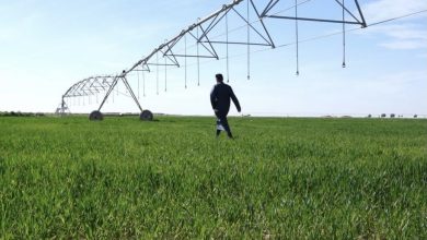 50E0EE7D D943 40E0 991F ED5E1A86F37F