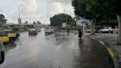 5298FE06 E481 43BC BA80 345152907996