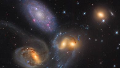 6363ca624236046421111c5d