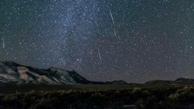 6380689e4236041dfa6b3384