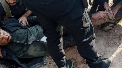 6525DD40 2249 4E72 928E 2722A13A7D69