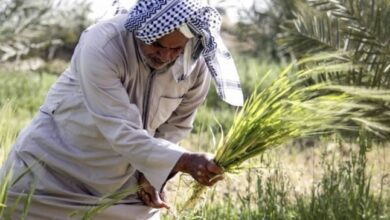 669690B9 7FC9 4903 BE7B 050EAB8D3E68