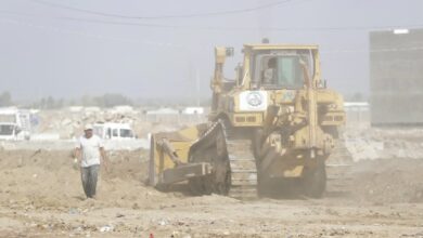 6E8DD279 4BC3 440F 84D1 54D7D7CA185C