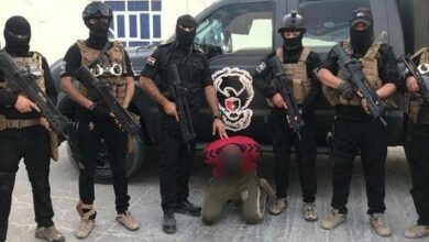 6FB81199 0E8E 46C5 BB0E 549D725CBF39