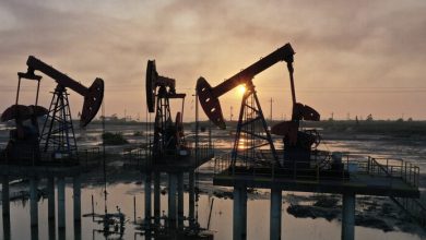 7AFBD328 C985 4FB6 BBBB DDD10680B37B