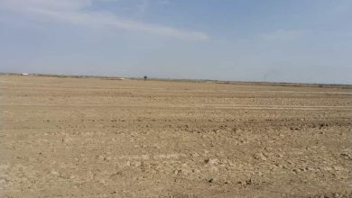 8779FE3A 156E 4792 9FBF 905BF4EB0353