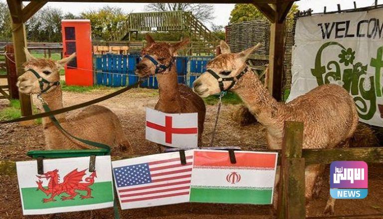 98 093932 paul lama predictions world