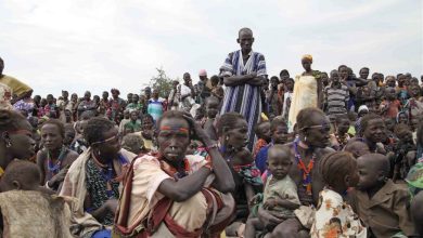 9B990D02 F694 4818 8538 F957346EE804