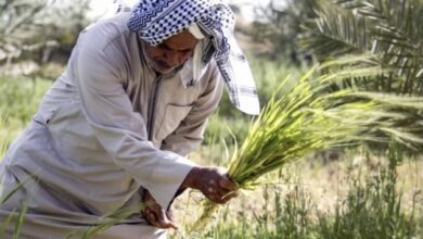 9D647A8A AB0D 4DD9 B84A B016A5095DDB