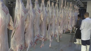 A317E2AF 7E16 4212 9883 3DA3381C9BA1