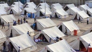 B0584F33 7B39 4D38 8FCB 0B50C2D87C30