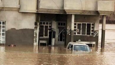 B8258071 2BD6 450D B4E5 FD7001AEF6DB