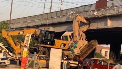 BA251F00 AB1E 401D 9D60 0FC2559B07FE